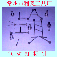 WߏS