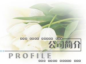 ʢůͨϵy޹˾